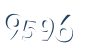 Input this protected code