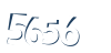 Input this protected code