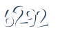 Input this protected code