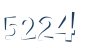 Input this protected code