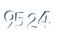Input this protected code