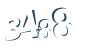 Input this protected code