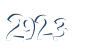 Input this protected code