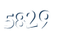 Input this protected code