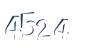 Input this protected code