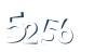 Input this protected code