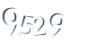 Input this protected code