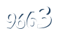 Input this protected code
