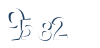 Input this protected code