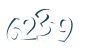 Input this protected code