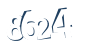 Input this protected code