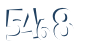 Input this protected code