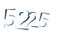 Input this protected code
