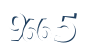 Input this protected code