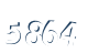 Input this protected code