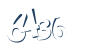 Input this protected code