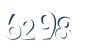 Input this protected code