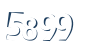 Input this protected code