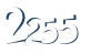 Input this protected code
