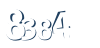Input this protected code