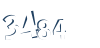 Input this protected code