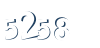 Input this protected code