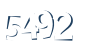 Input this protected code