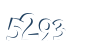 Input this protected code