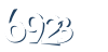 Input this protected code