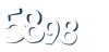 Input this protected code