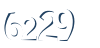 Input this protected code