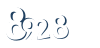 Input this protected code