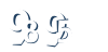 Input this protected code