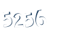 Input this protected code