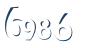 Input this protected code