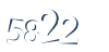 Input this protected code