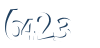Input this protected code