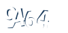 Input this protected code