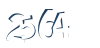 Input this protected code