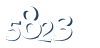 Input this protected code