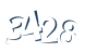 Input this protected code