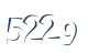 Input this protected code