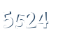 Input this protected code