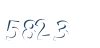 Input this protected code