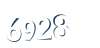 Input this protected code