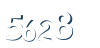 Input this protected code