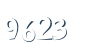 Input this protected code