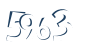 Input this protected code